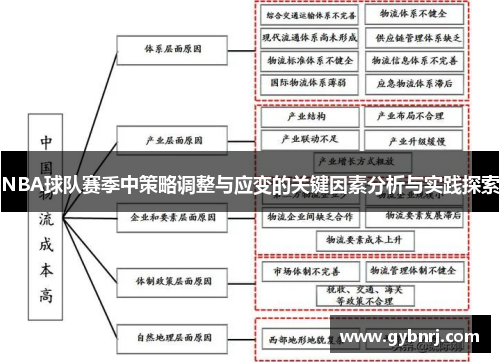 NBA球队赛季中策略调整与应变的关键因素分析与实践探索