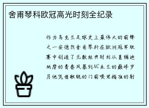 舍甫琴科欧冠高光时刻全纪录