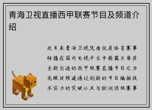 青海卫视直播西甲联赛节目及频道介绍